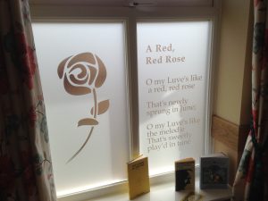 Window Graphics Red Rose
